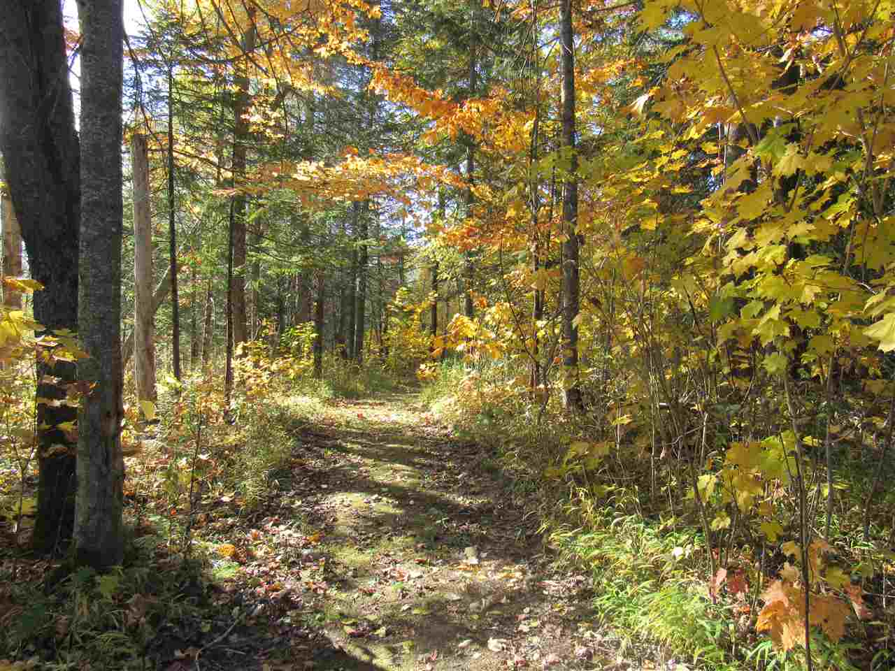 2551 Highway 114 Norton, VT 05907 - Photo 8 of 40