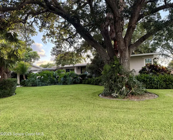 a view of a garden with a tree