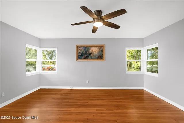 a view of an empty room with a potted plant