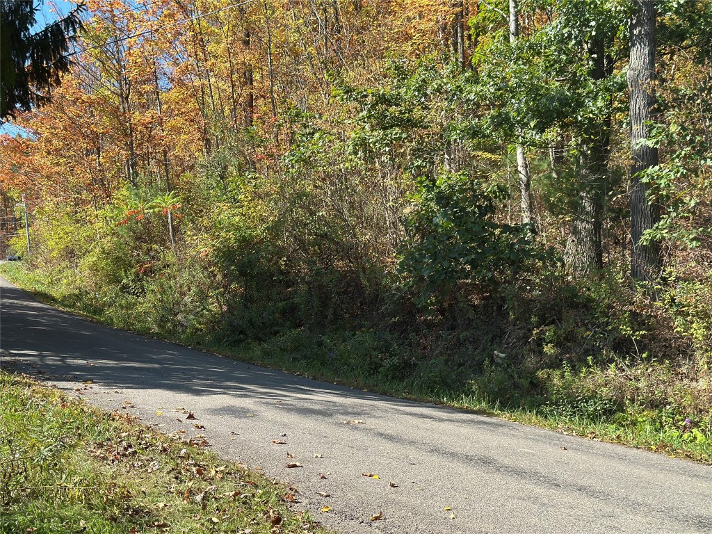 190 Decker Hill Road Nichols, NY 13827 - Photo 29 of 40