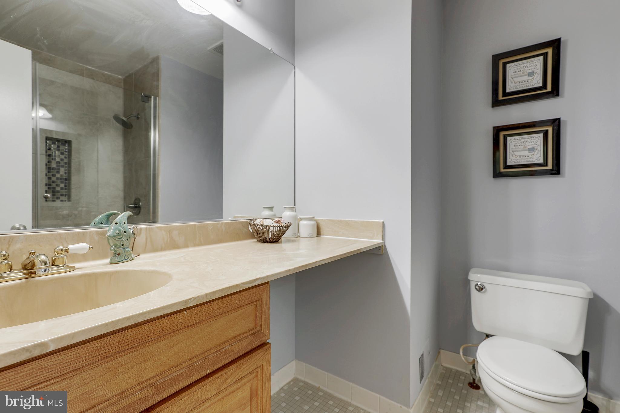 14201 Catamount Court Silver Spring, MD 20906 - Photo 15 of 29 Connecting Master Bath with Renovated Shower