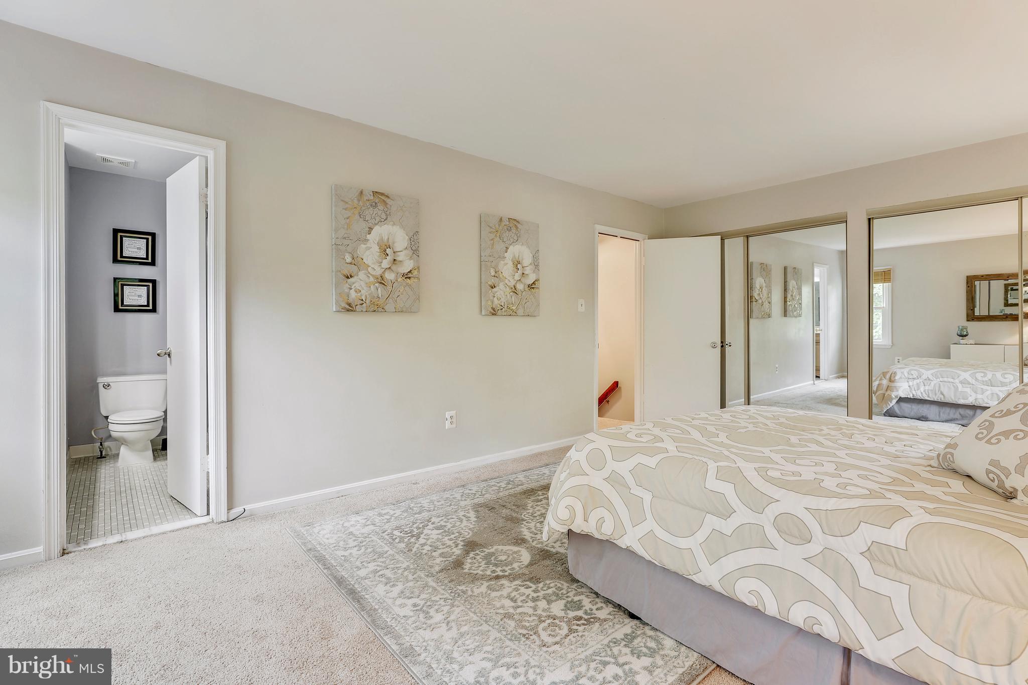 14201 Catamount Court Silver Spring, MD 20906 - Photo 16 of 29 Fit all you want in the Master Bedroom