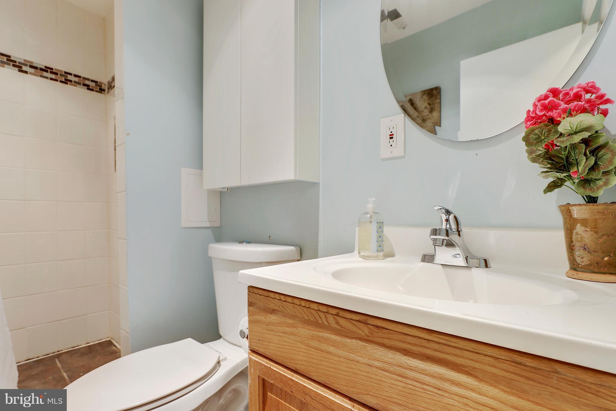 14201 Catamount Court Silver Spring, MD 20906 - Photo 22 of 29 Full Bathroom in Lower Level