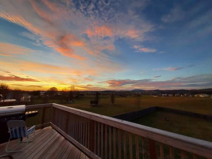 533 Painter Road Fall Branch, TN 37656 - Photo 3 of 40 FB_IMG_1653340098812