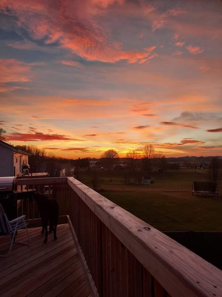 533 Painter Road Fall Branch, TN 37656 - Photo 4 of 40 FB_IMG_1653340103548