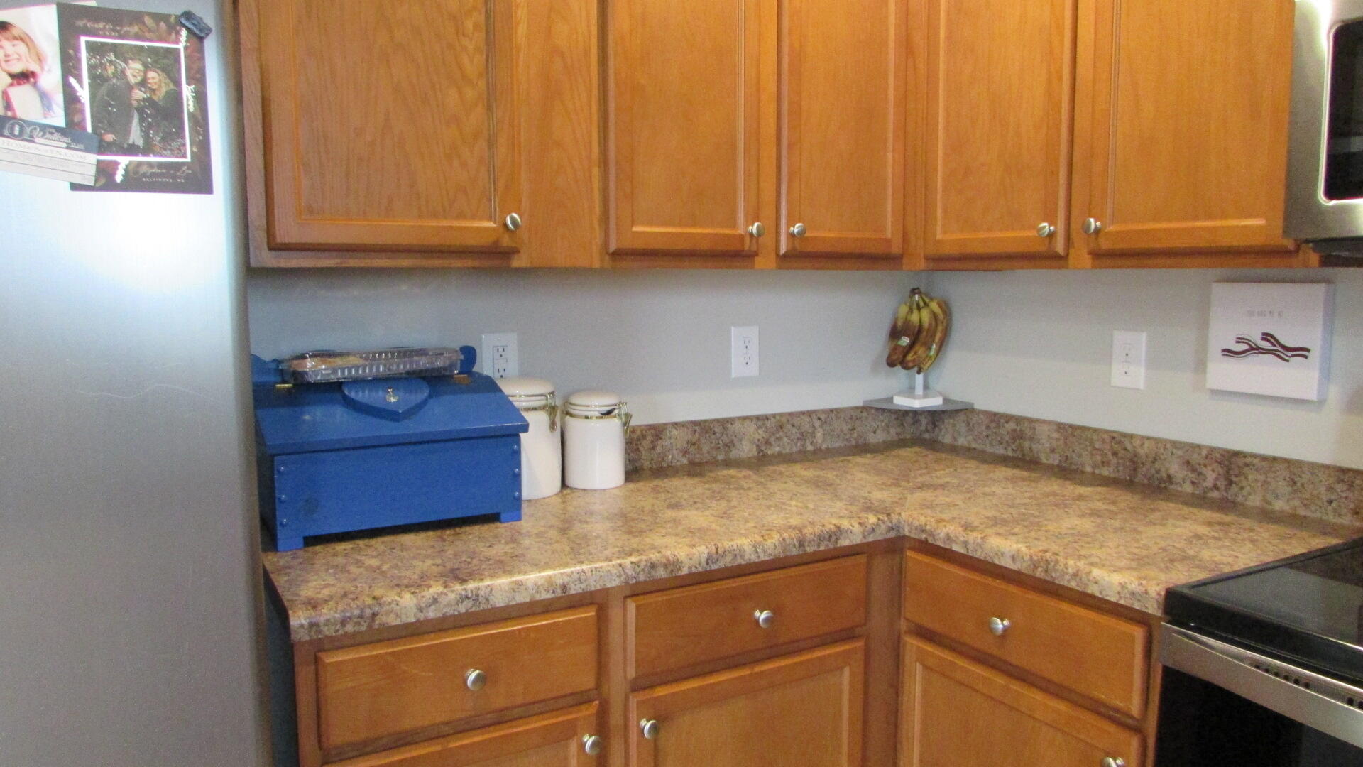 533 Painter Road Fall Branch, TN 37656 - Photo 10 of 40 IMG_5161