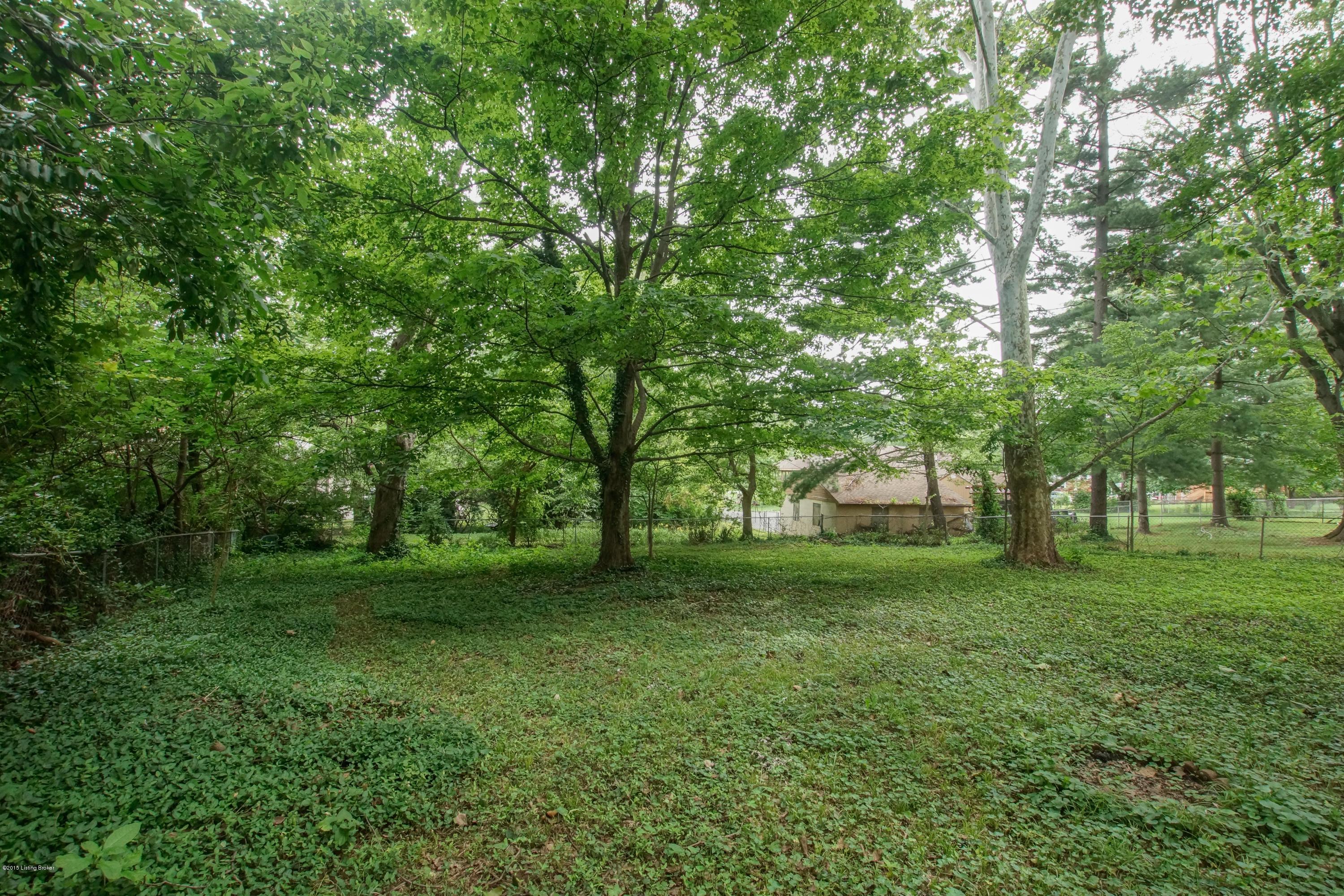 8706 Waltlee Road Louisville, KY 40291 - Photo 59 of 61 Back 4