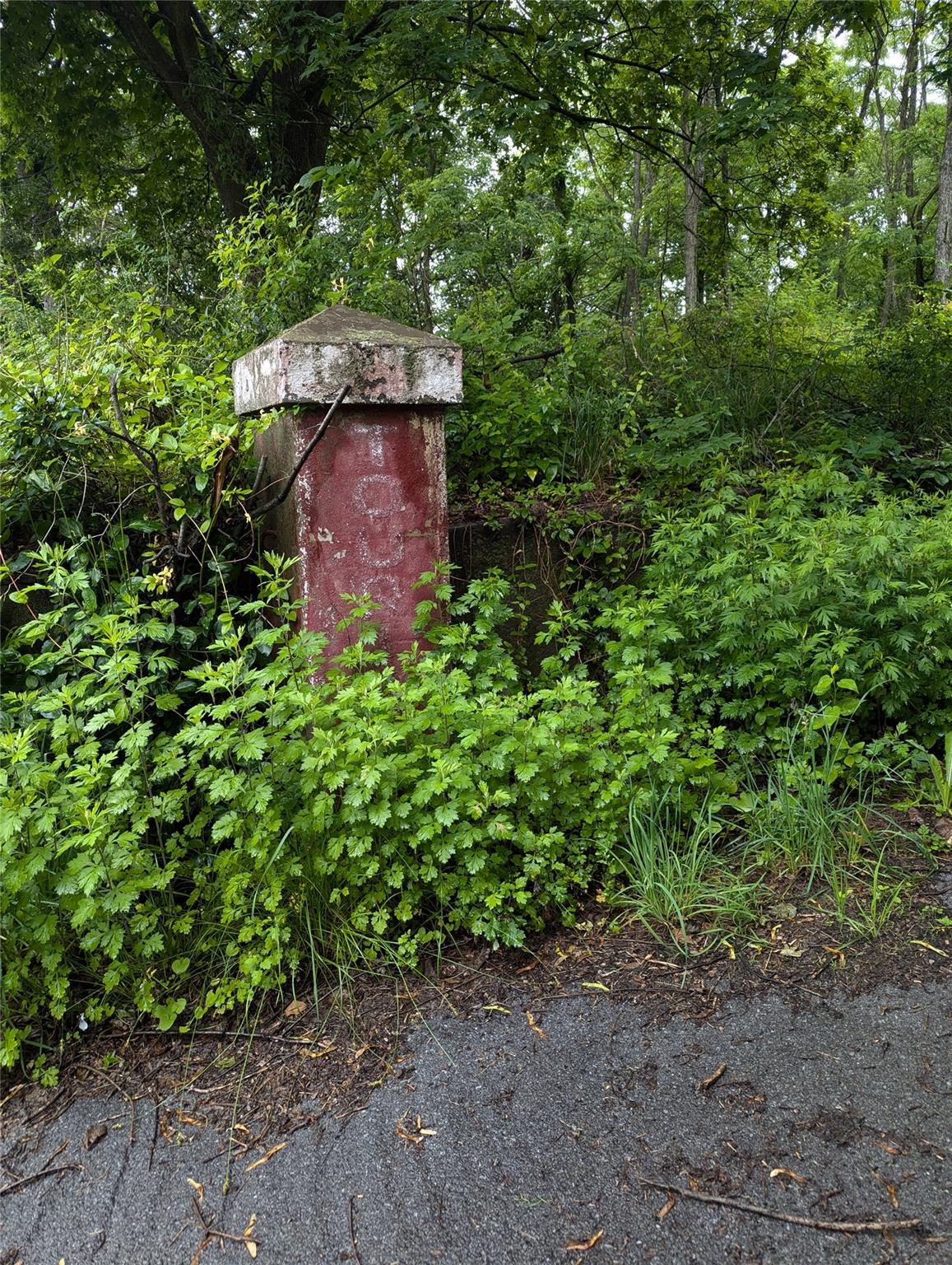 a view of a outdoor space with a tree
