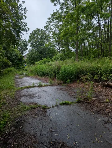 a view of a dirt road with trees in the background