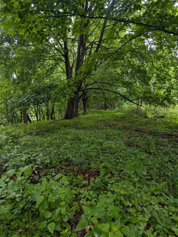 a view of a grassy field with trees