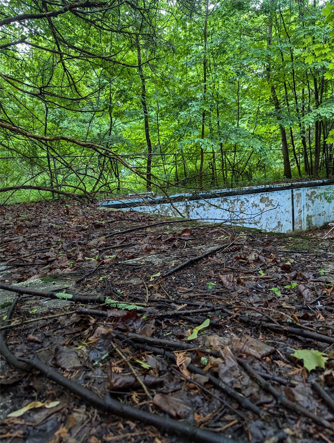 Cauterskill Catskill, NY 12414 - Photo 15 of 38 a view of a yard