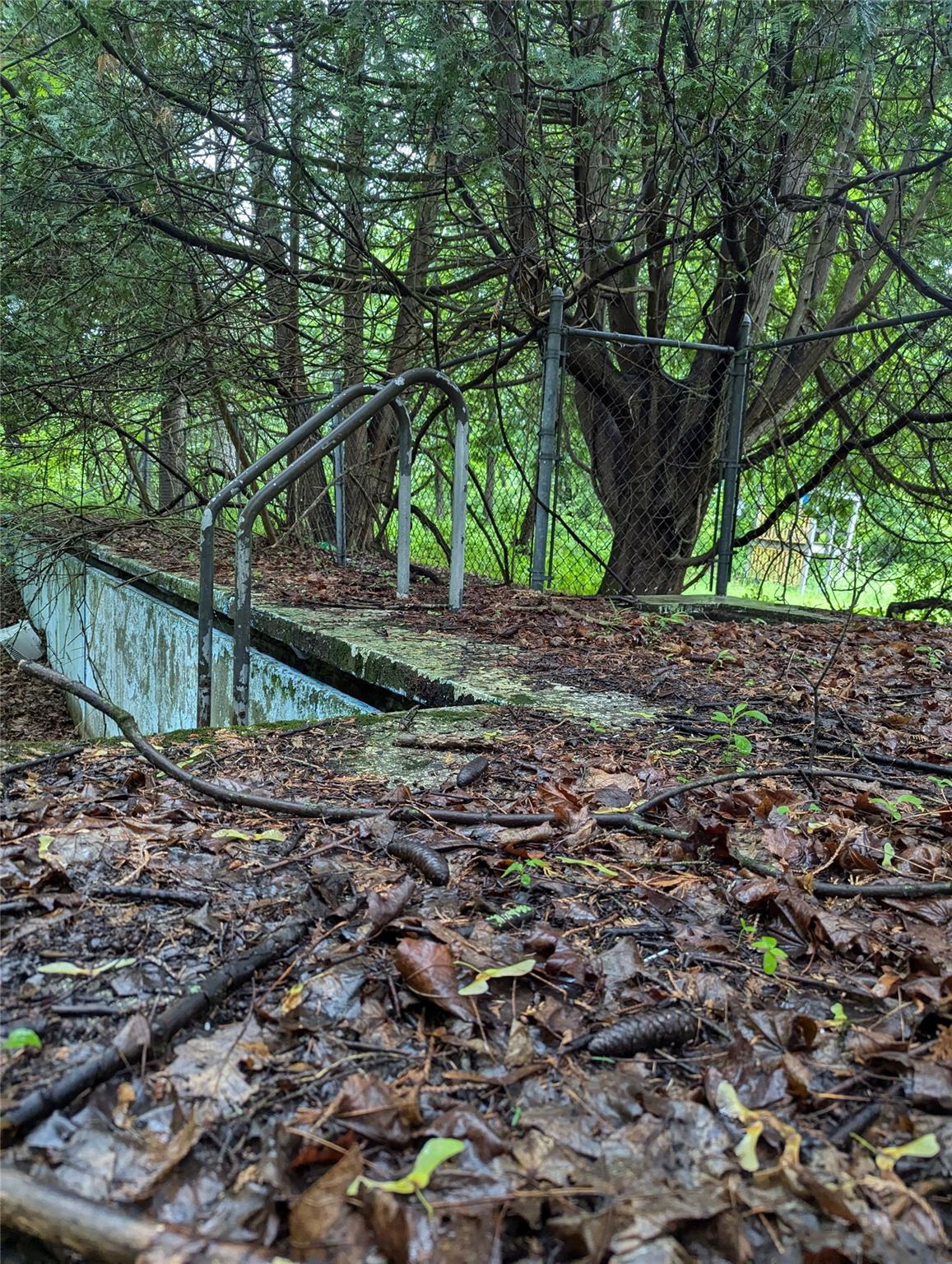 Cauterskill Catskill, NY 12414 - Photo 18 of 38 a backyard of a house with lots of green space