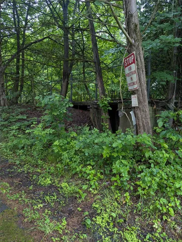 a view of outdoor space and garden