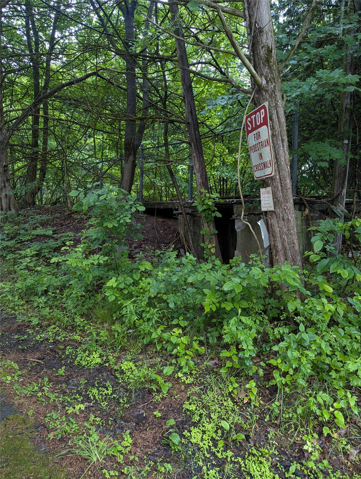 Cauterskill Catskill, NY 12414 - Photo 20 of 38 a view of outdoor space and garden