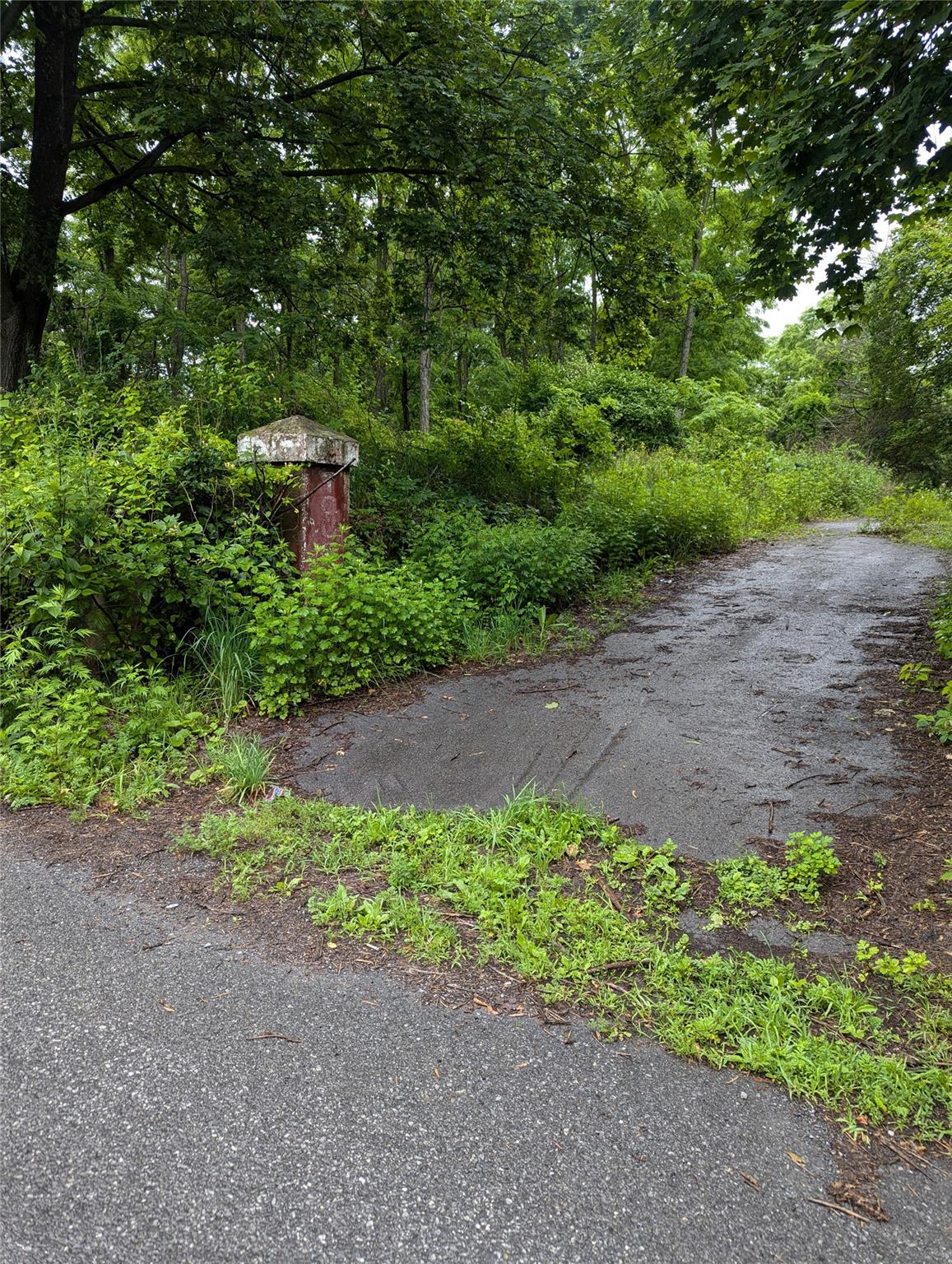 Cauterskill Catskill, NY 12414 - Photo 2 of 38 a view of a garden with large trees