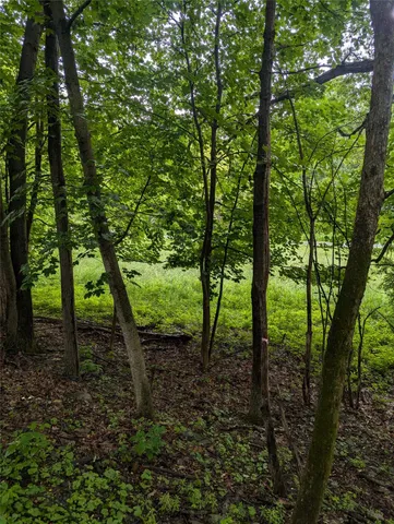 a view of outdoor space