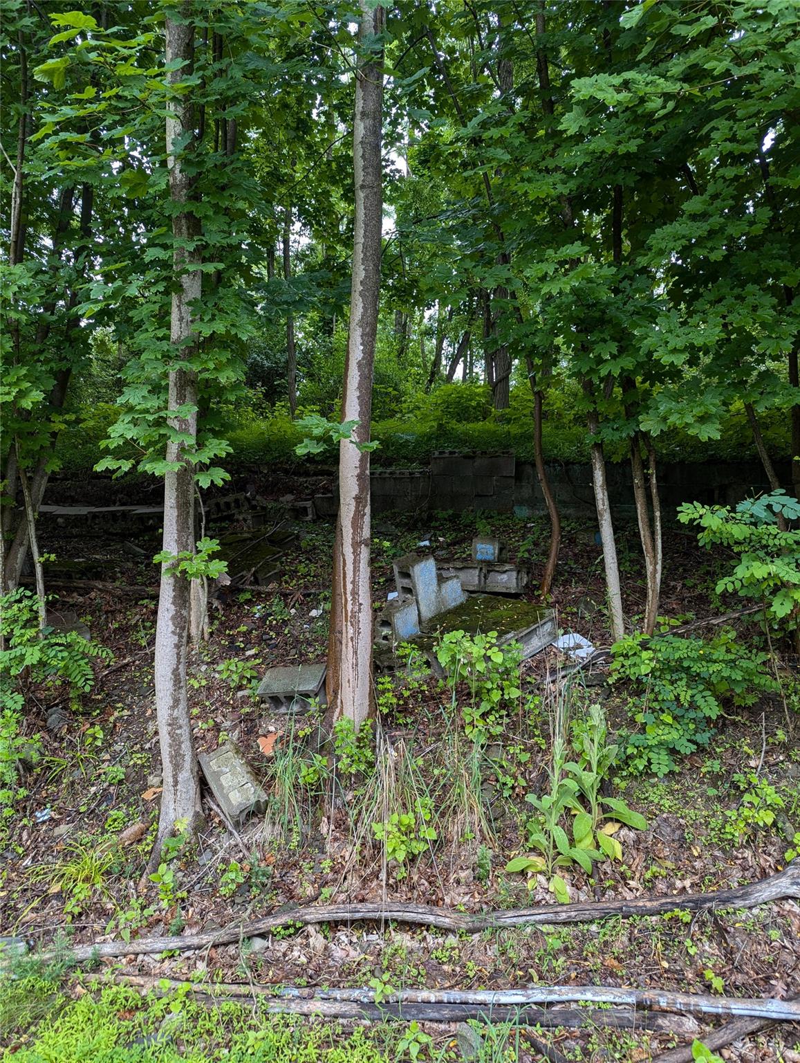 Cauterskill Catskill, NY 12414 - Photo 24 of 38 a backyard of a house with plants and outdoor seating