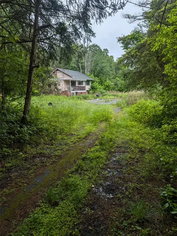 a view of a garden with plants