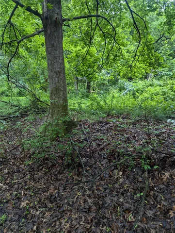 a view of a backyard of the house