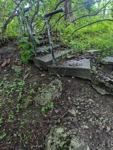 a view of a yard with plants and a bench