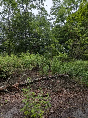 a backyard of a house with lots of plants and trees