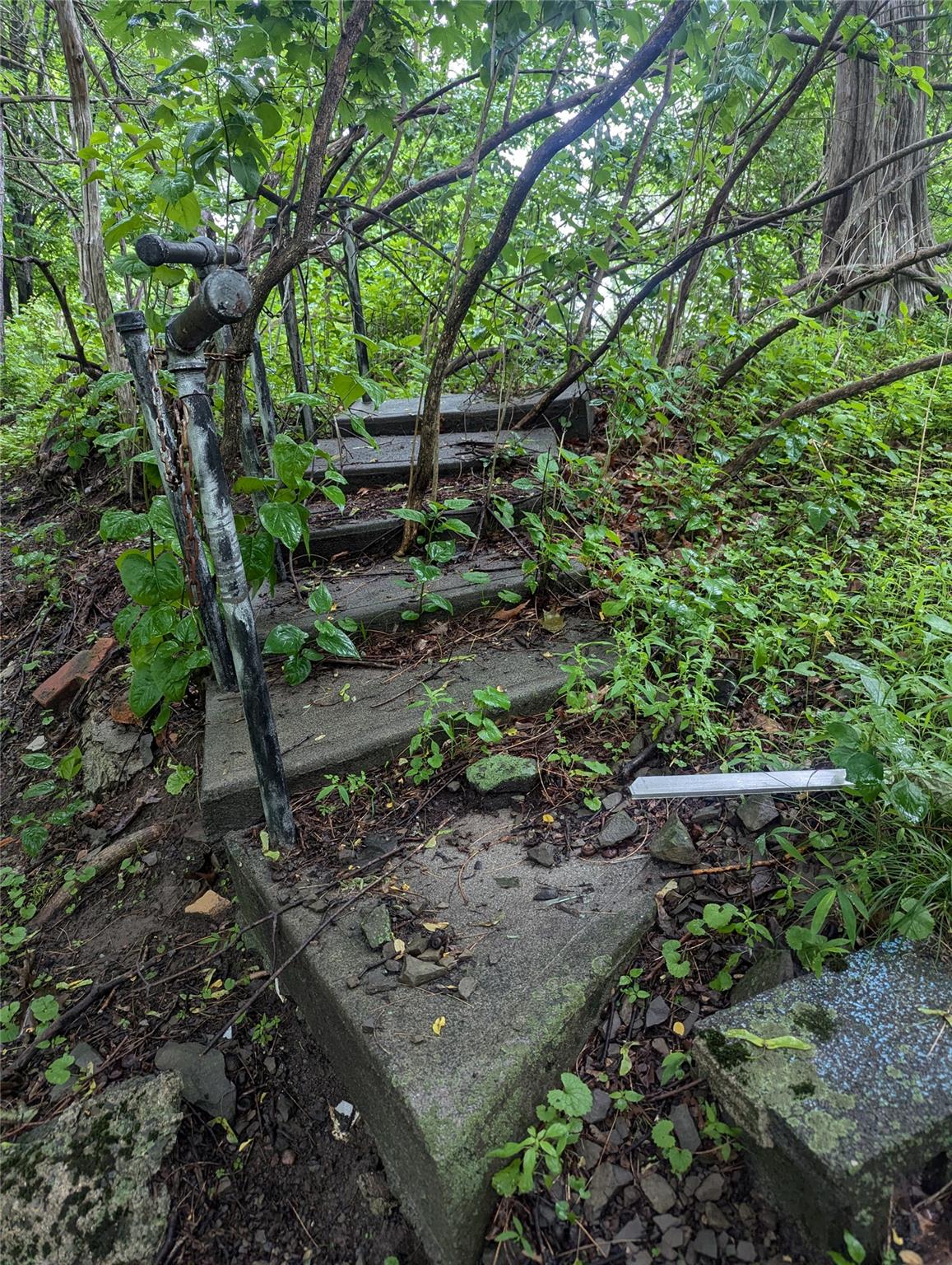 Cauterskill Catskill, NY 12414 - Photo 30 of 38 a backyard of a house with lots of plants and trees