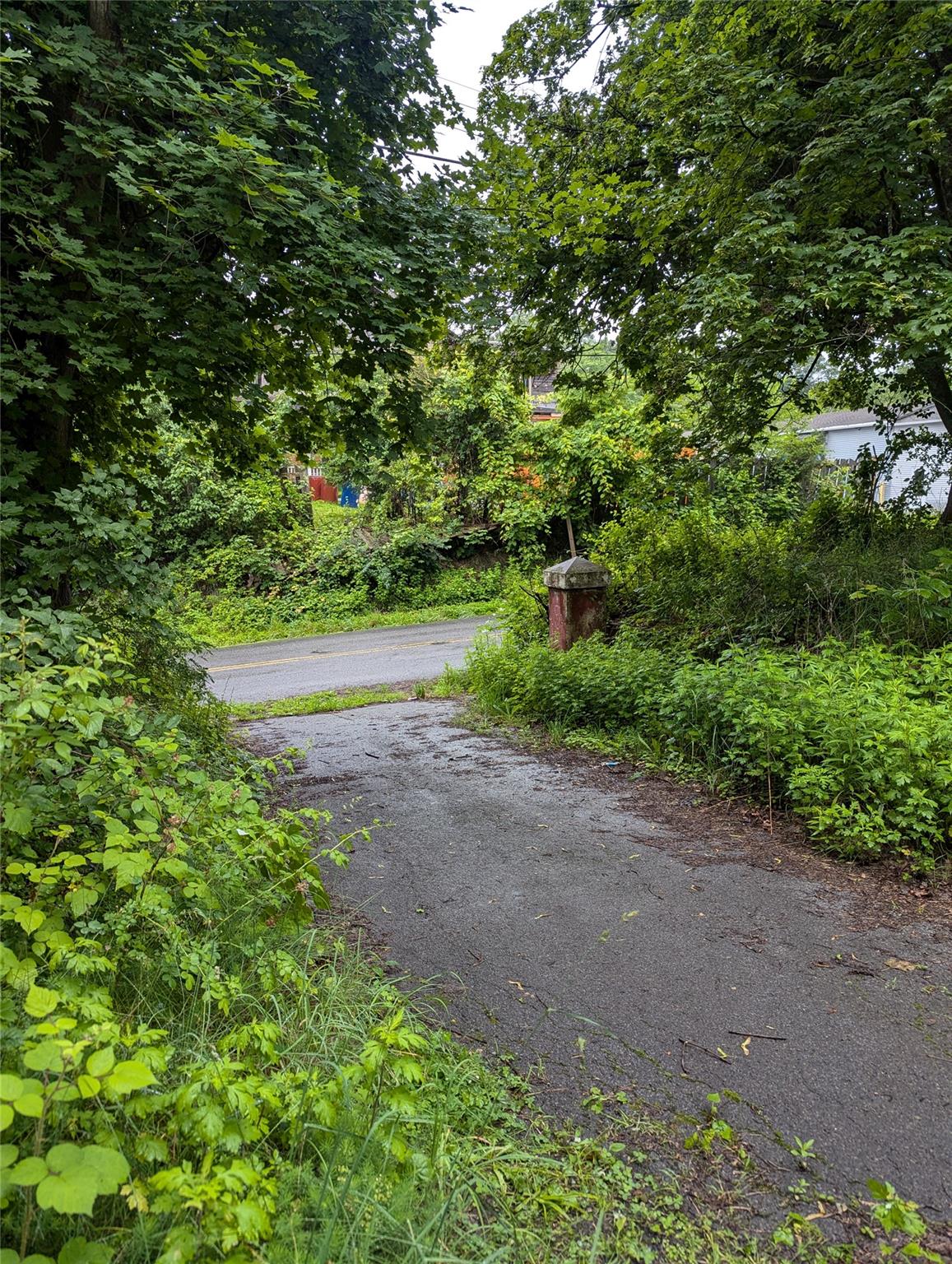 Cauterskill Catskill, NY 12414 - Photo 3 of 38 a view of a yard with plants and large trees