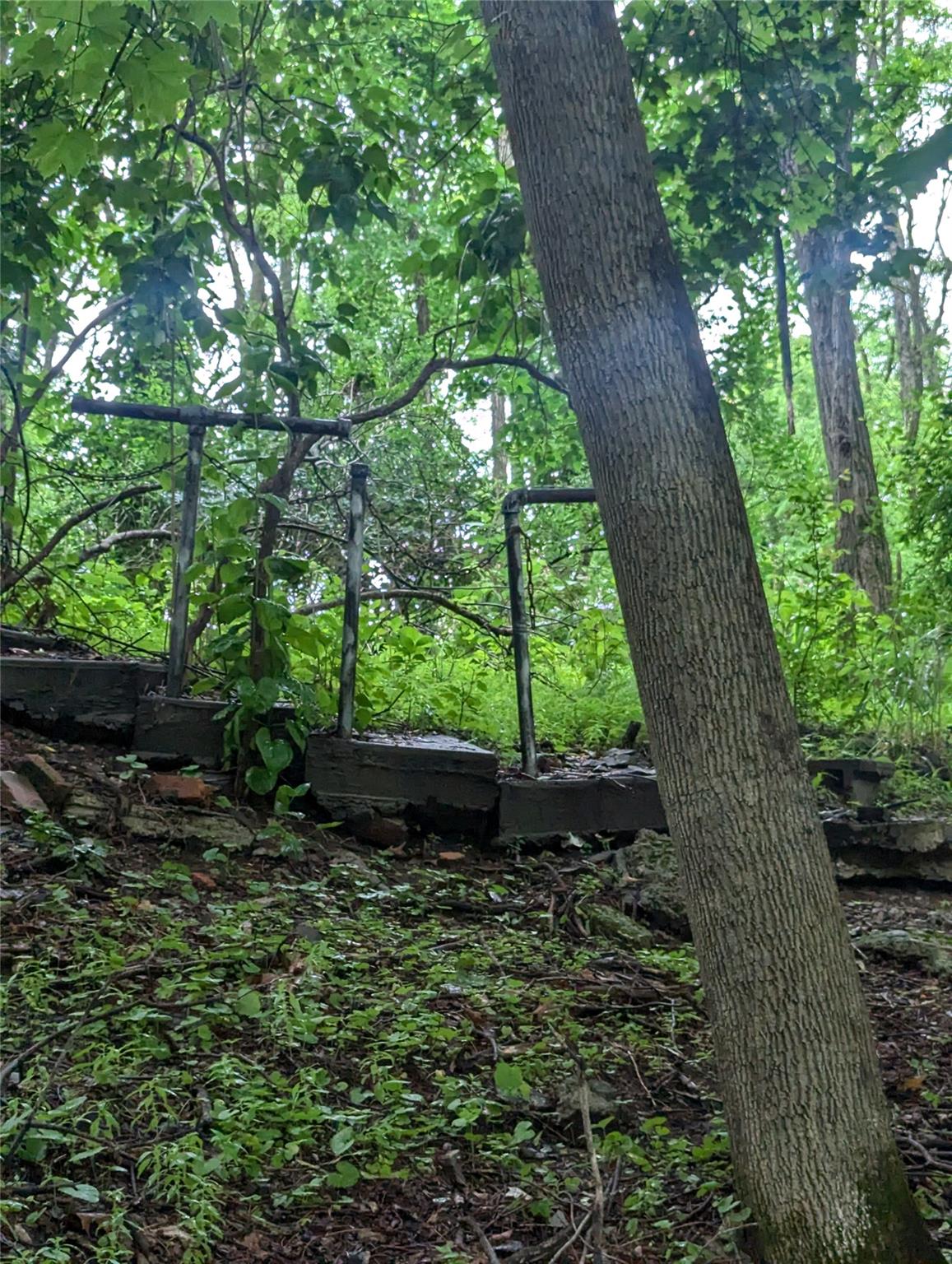Cauterskill Catskill, NY 12414 - Photo 31 of 38 a backyard of a house with lots of green space