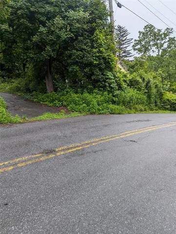 a view of a yard with plants and trees