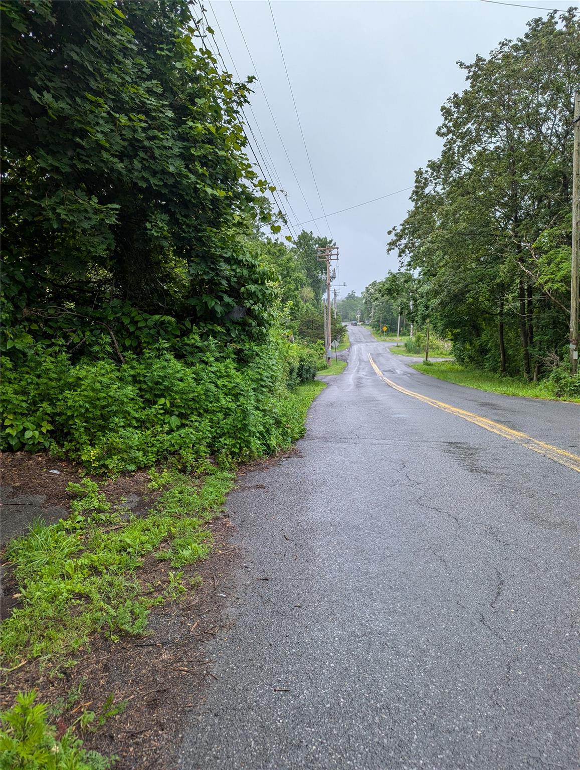 Cauterskill Catskill, NY 12414 - Photo 34 of 38 a view of a yard with plants and trees