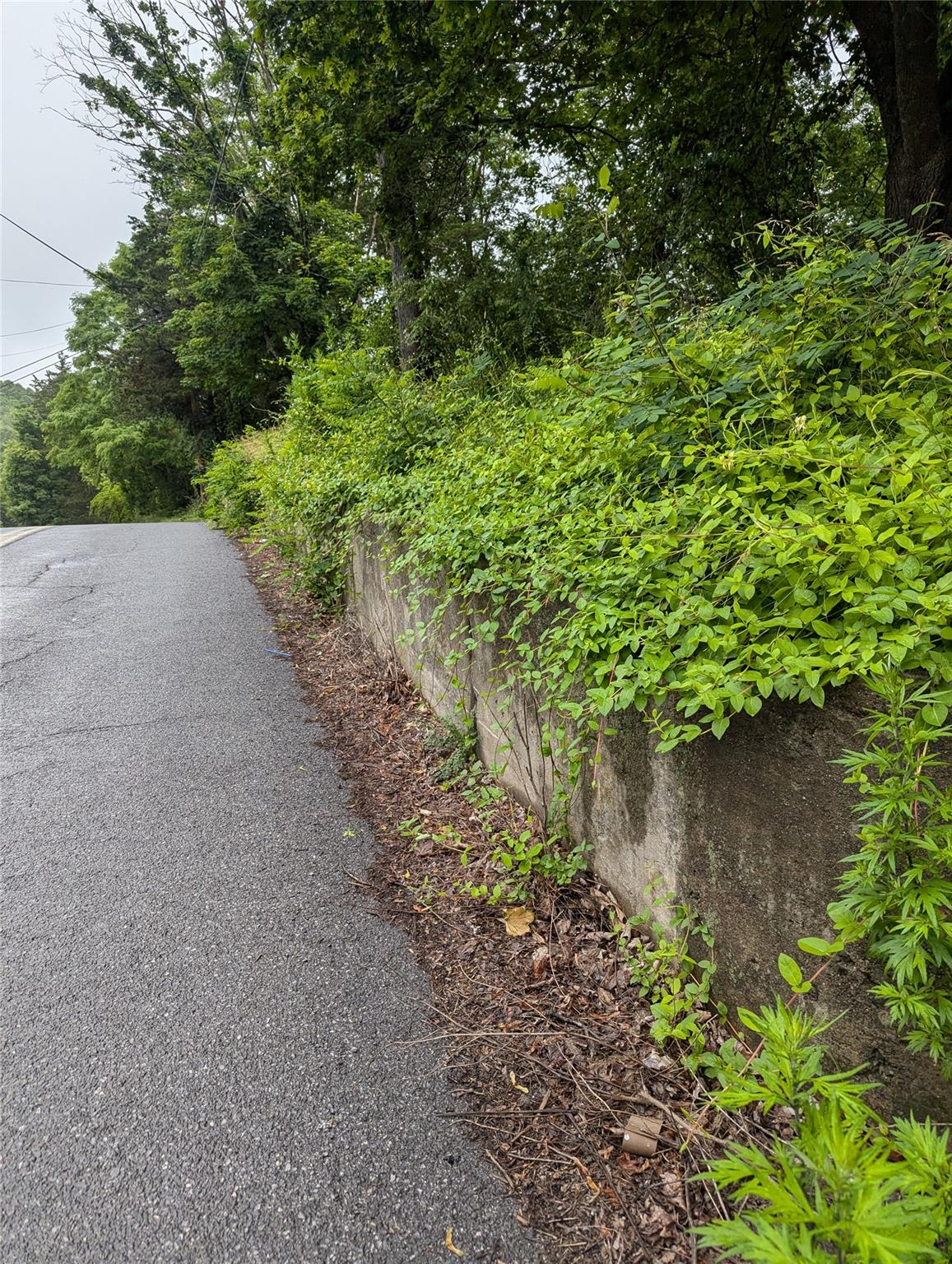 Cauterskill Catskill, NY 12414 - Photo 35 of 38 a view of a plants with large trees