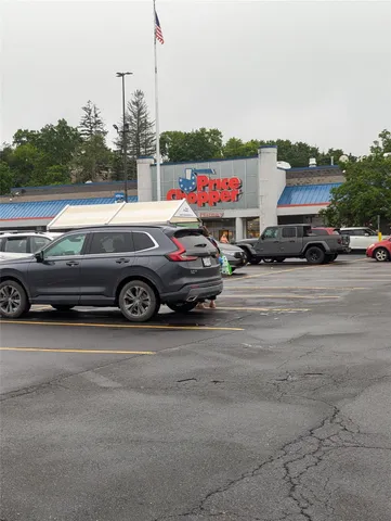 a view of a park with large trees