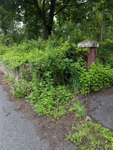 a view of a garden with a fountain