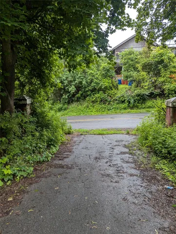 a view of a yard with plants and a bench