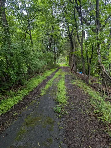 a big yard with lots of green space and deers