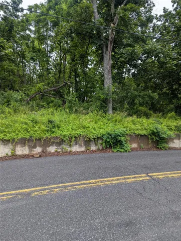 a backyard of a house with a street and plant