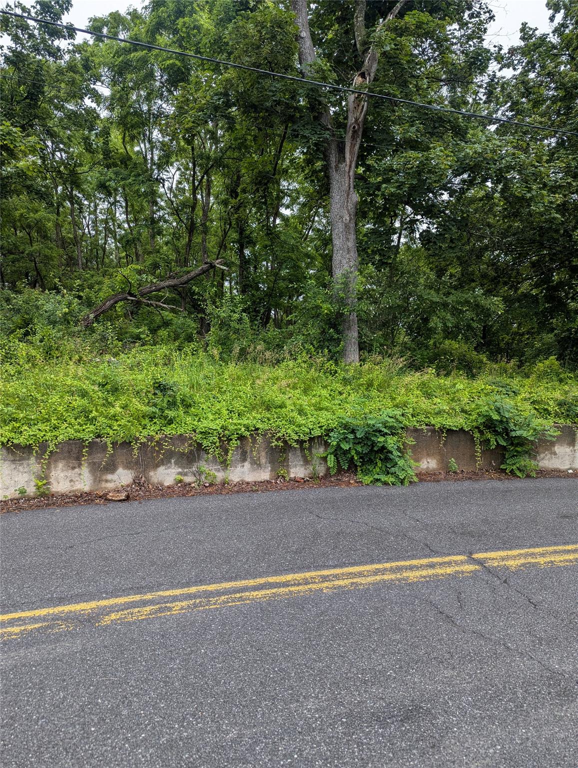Cauterskill Catskill, NY 12414 - Photo 8 of 38 a backyard of a house with a street and plant
