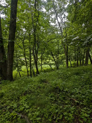 a green field with lots of trees