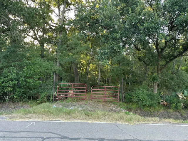 a backyard of a house with outdoor seating and trees