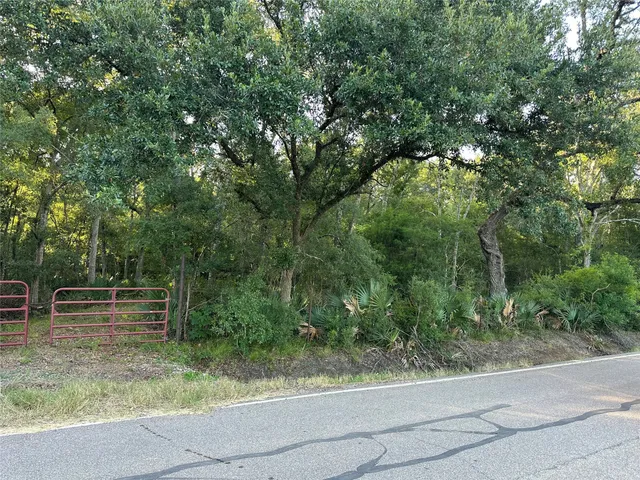 a view of outdoor space and yard