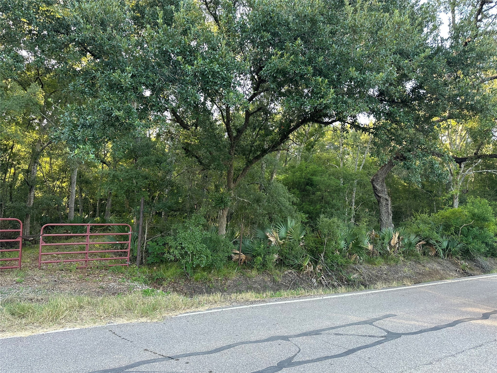 0 County Road 684D Sweeny, TX 77480 - Photo 2 of 9