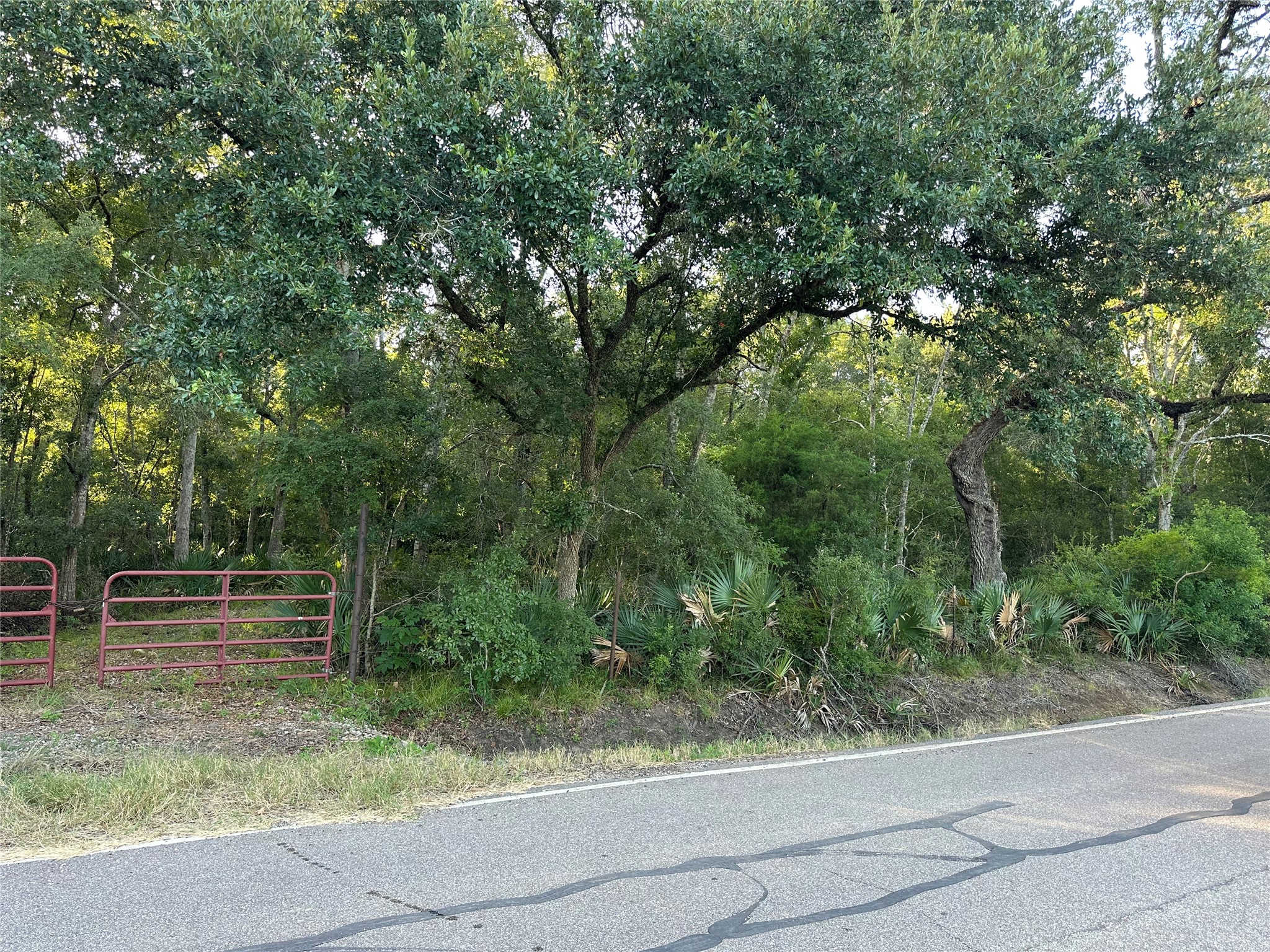 0 County Road 684D Sweeny, TX 77480 - Photo 2 of 9 a view of outdoor space and yard