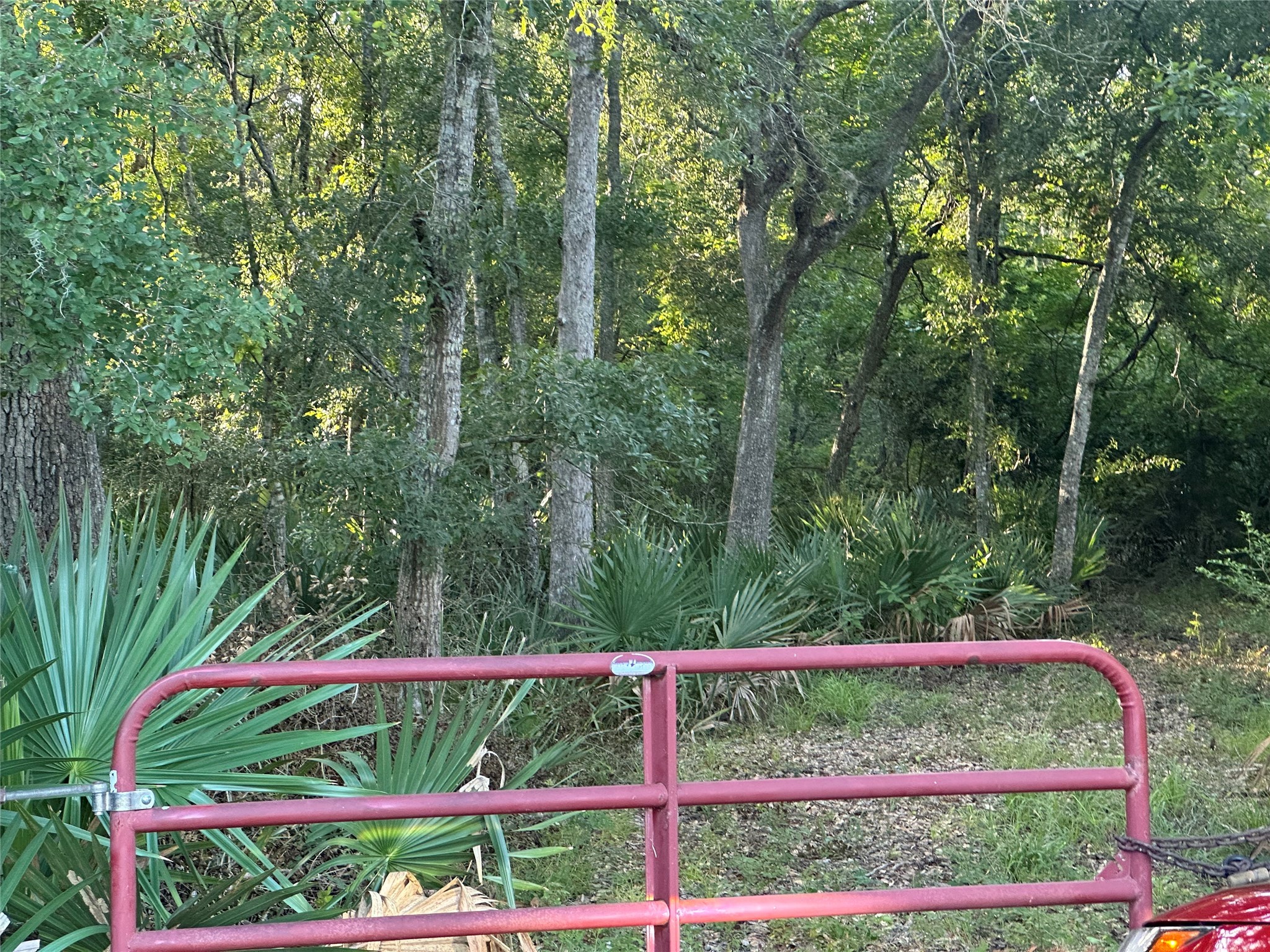 0 County Road 684D Sweeny, TX 77480 - Photo 3 of 9