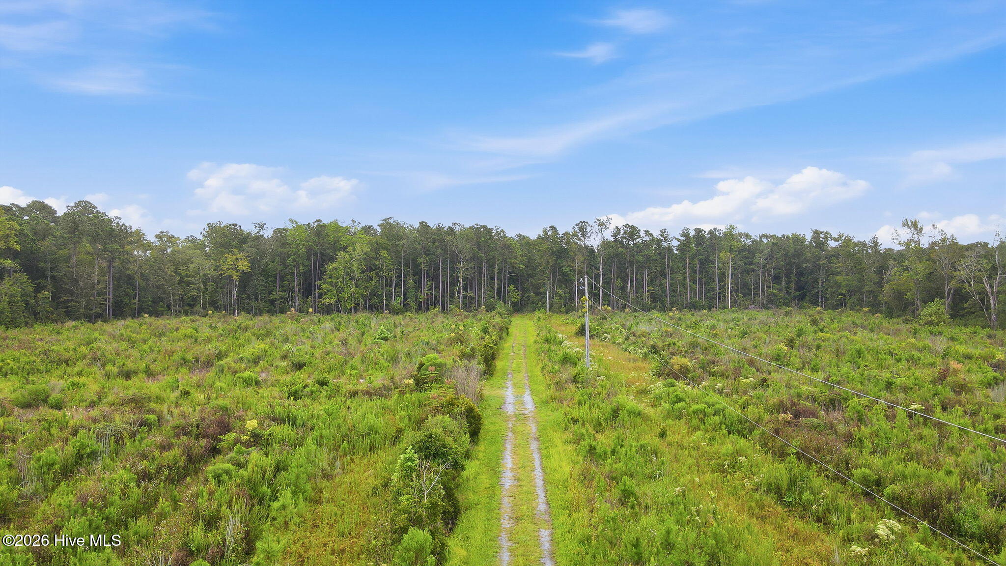 301 Seawell Farm Road Bayboro, NC 28515 - Photo 45 of 47 Gallery Image 45