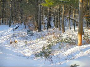 124 Hazel Hill Road Townshend, VT 05353 - Photo 3 of 5 Gallery Image 3