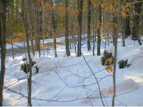 124 Hazel Hill Road Townshend, VT 05353 - Photo 5 of 5 Gallery Image 5