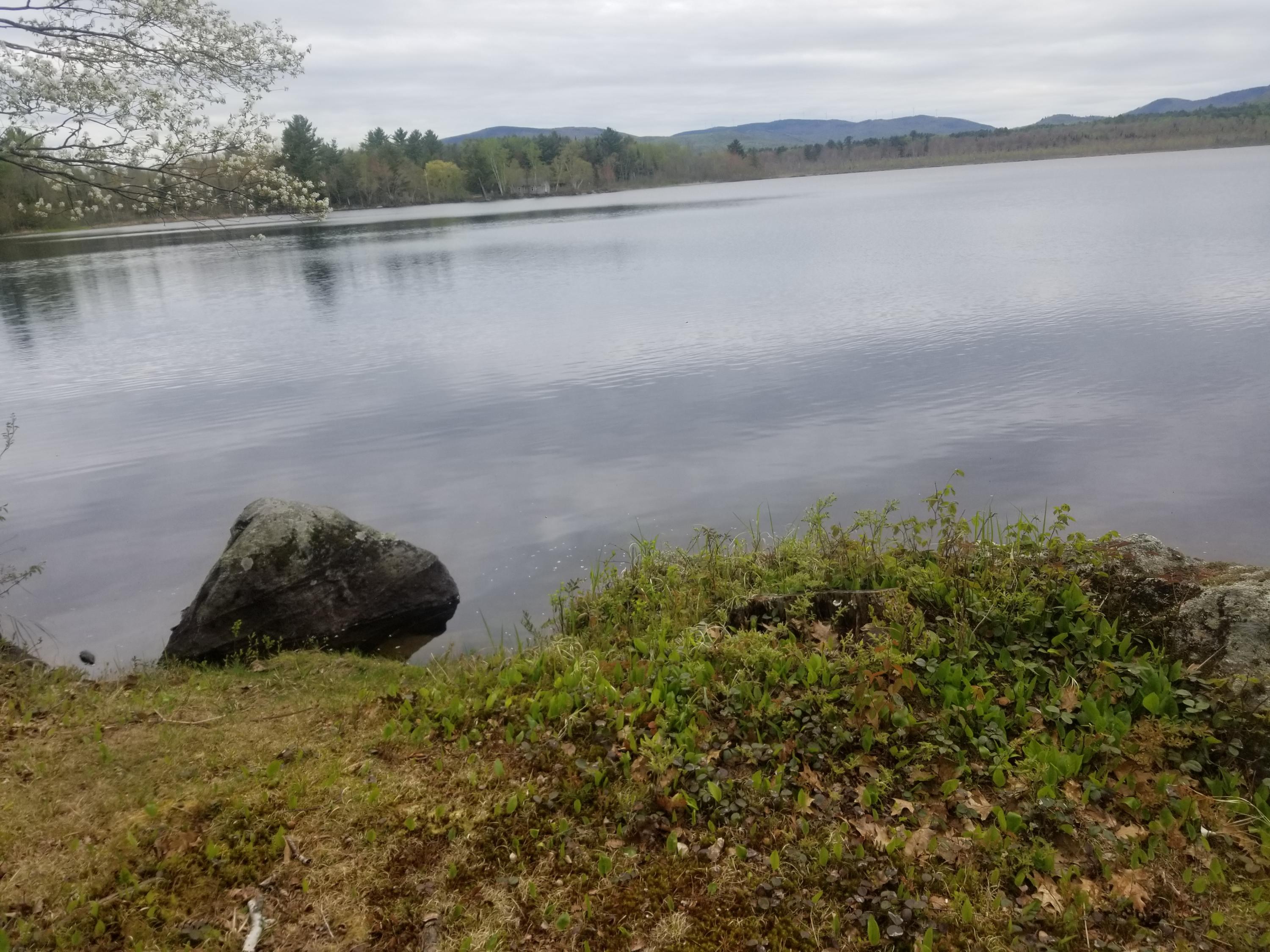 47 Labrador Pond Road Sumner, ME 04292 - Photo 16 of 21 20190523_122847