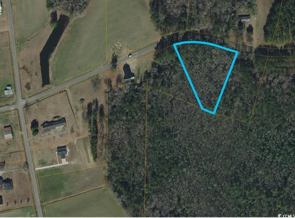 $39,900 | Tbd Long Branch Swamp Road, Nichols, SC 29581