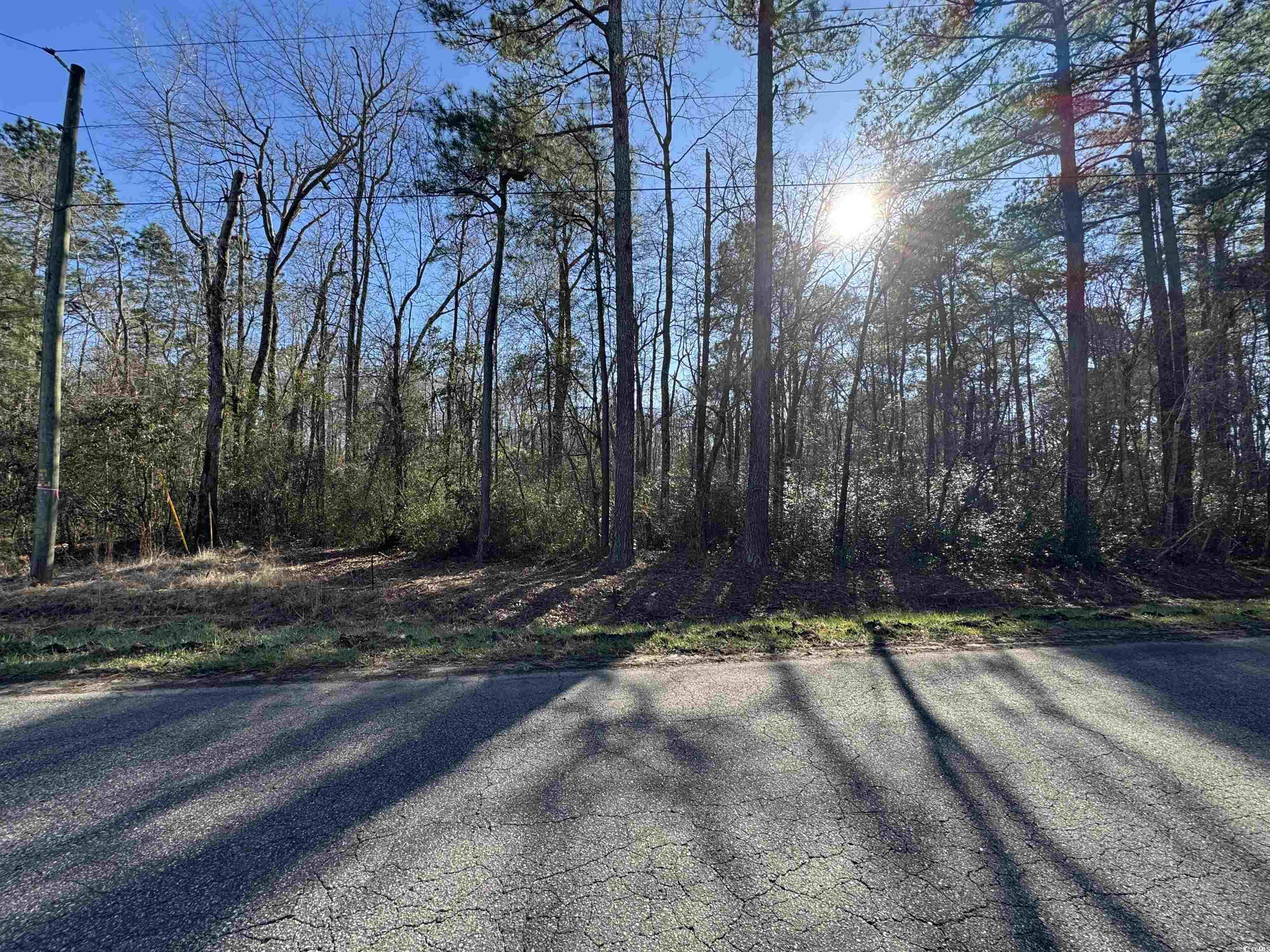 Tbd Long Branch Swamp Road Nichols, SC 29581 - Photo 2 of 5