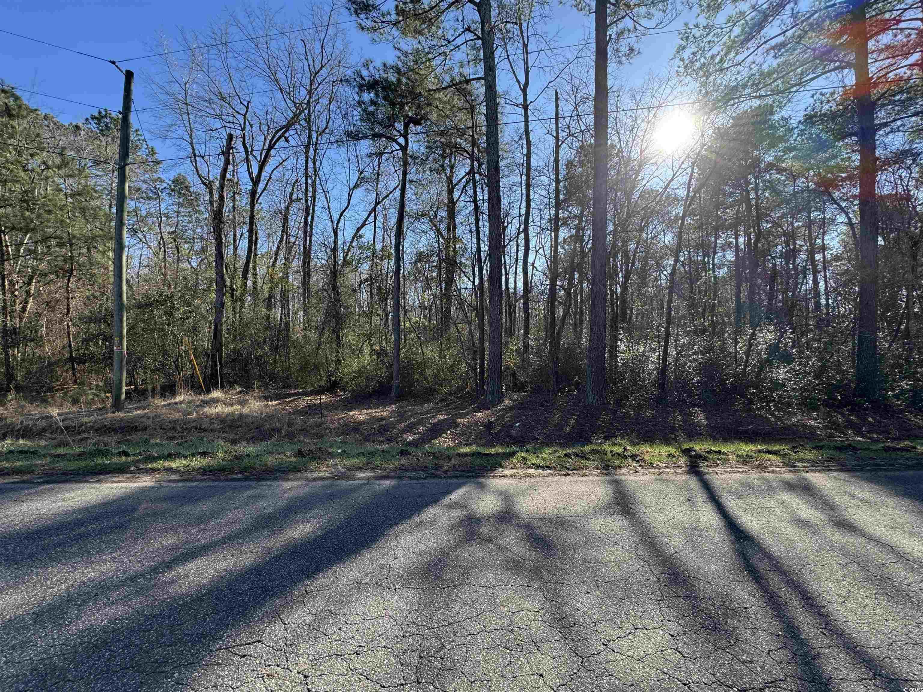 Tbd Long Branch Swamp Road Nichols, SC 29581 - Photo 3 of 5